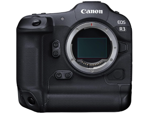 7 Best Canon Mirrorless Cameras for Beginners