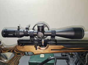 7 Best Leupold Scopes for 308